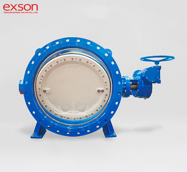 Double Eccentric Butterfly Valve